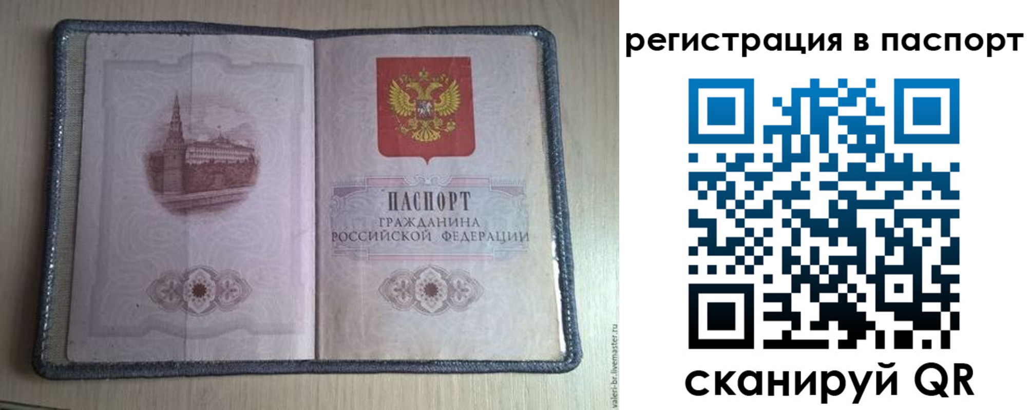 прописка штамп в Камышине
